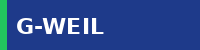 G-Weil